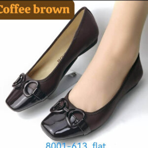(S38-43) Flat Brown Shoes - Kgs